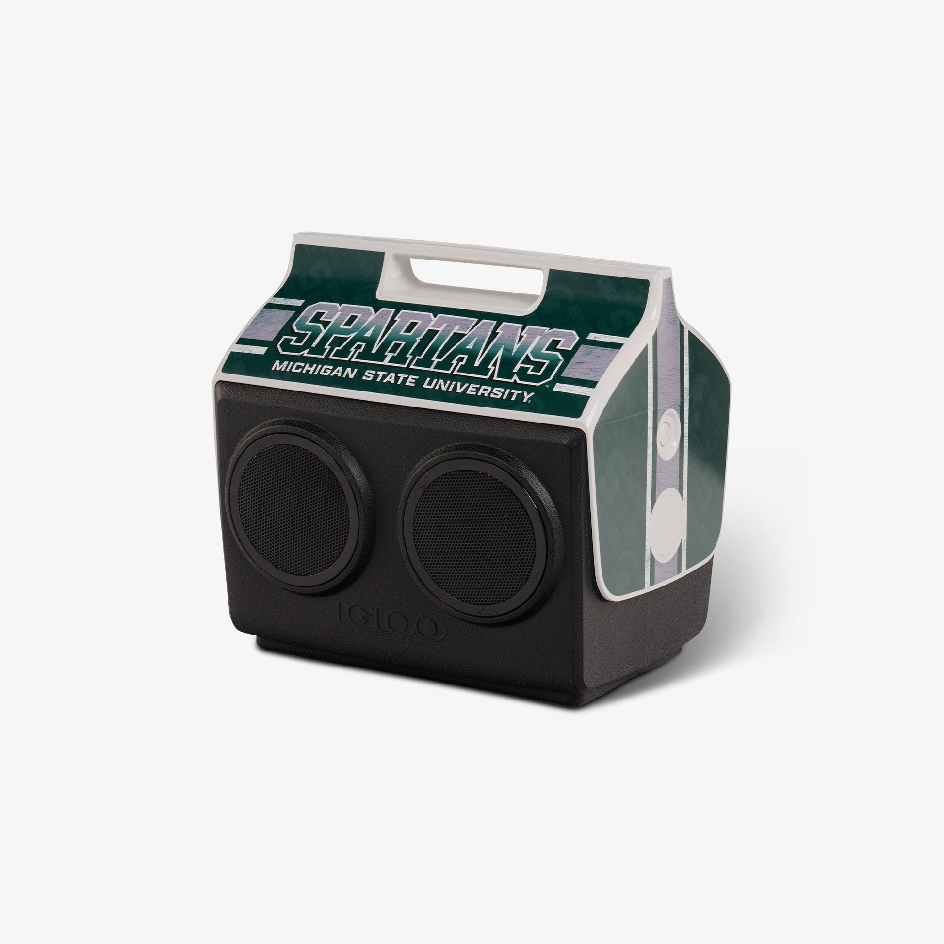 michigan-state-university-kooltunes-j4 00027730-H1.jpg