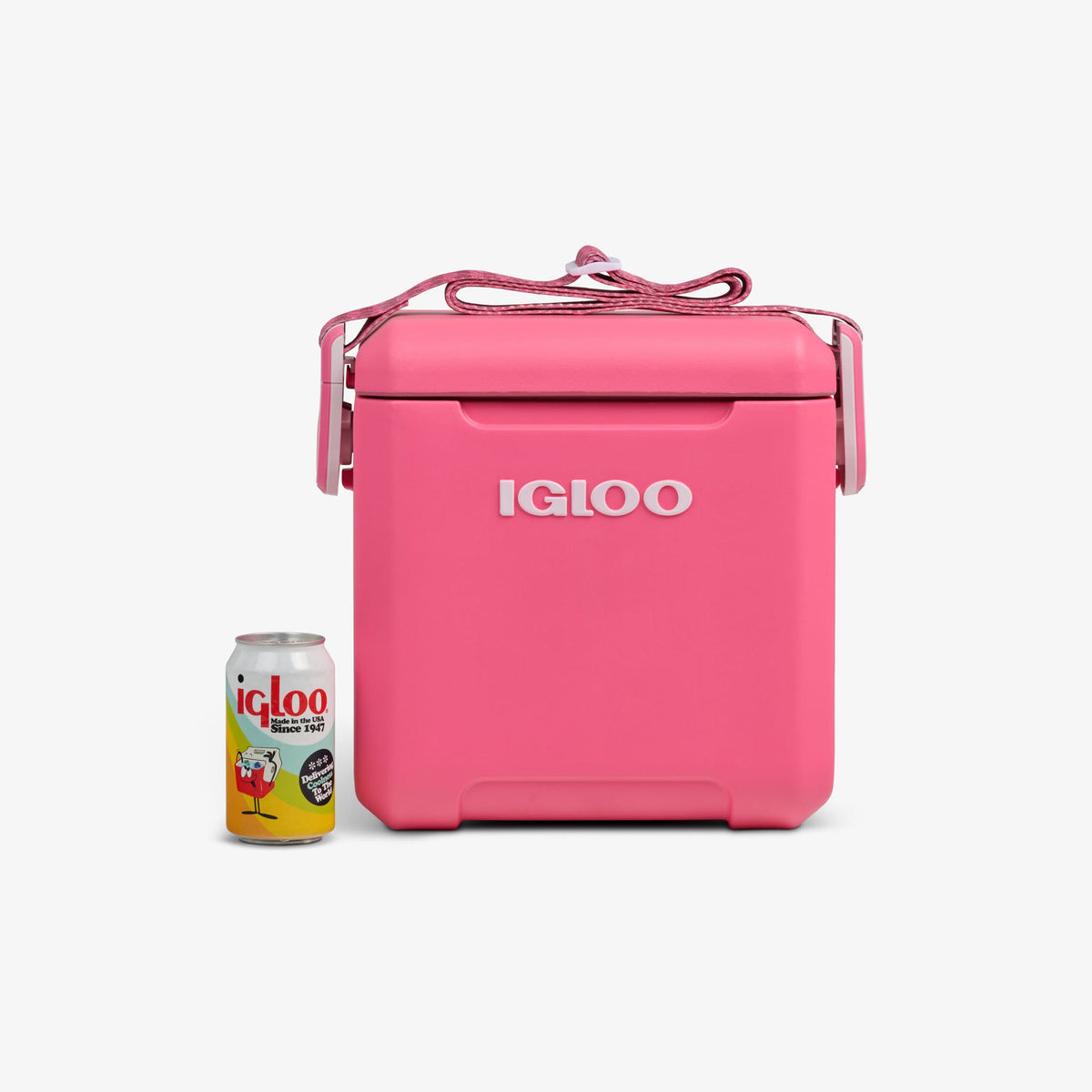 tag-along-too-remix-cooler-f4 00033199-P_861a5cd2-f15c-4217-a471-e33cc3890d9e.jpg