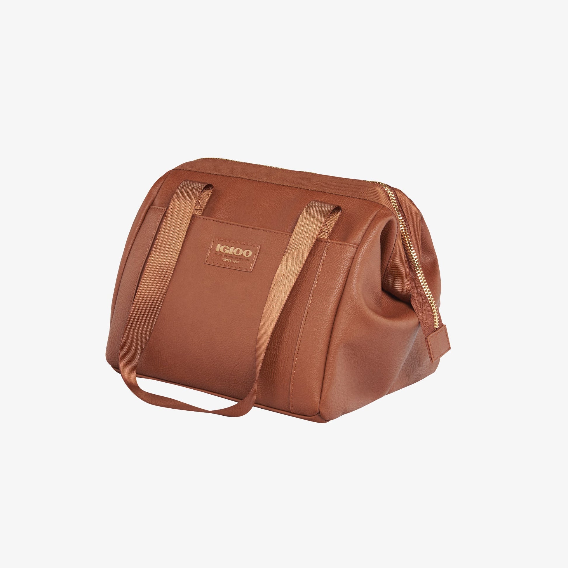 igloo-luxe-lunch-tote-cooler-bag-a1 00061160_2.jpg