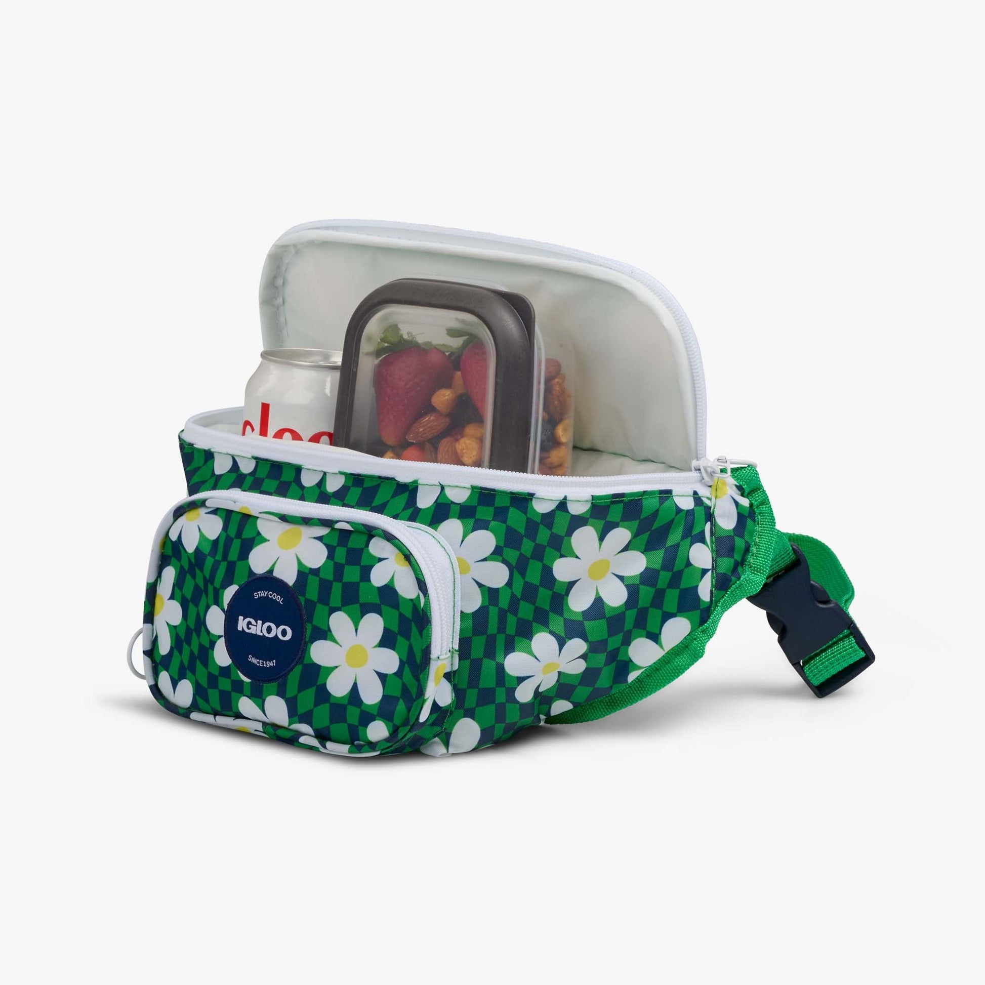retro-fanny-pack-p1 00067206-P1.jpg