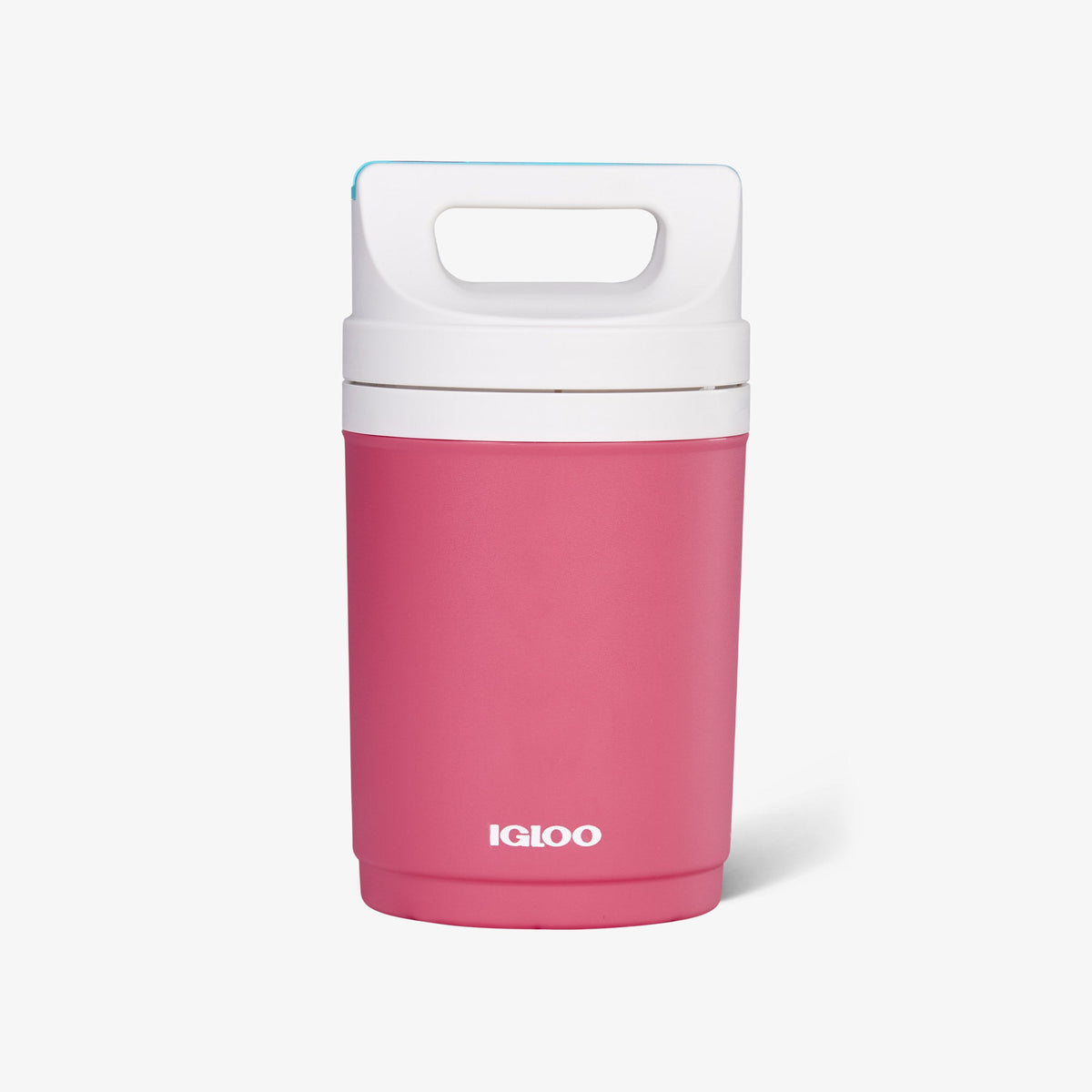 retro-playmate-half-gallon-jug-y0 00070862-F.jpg