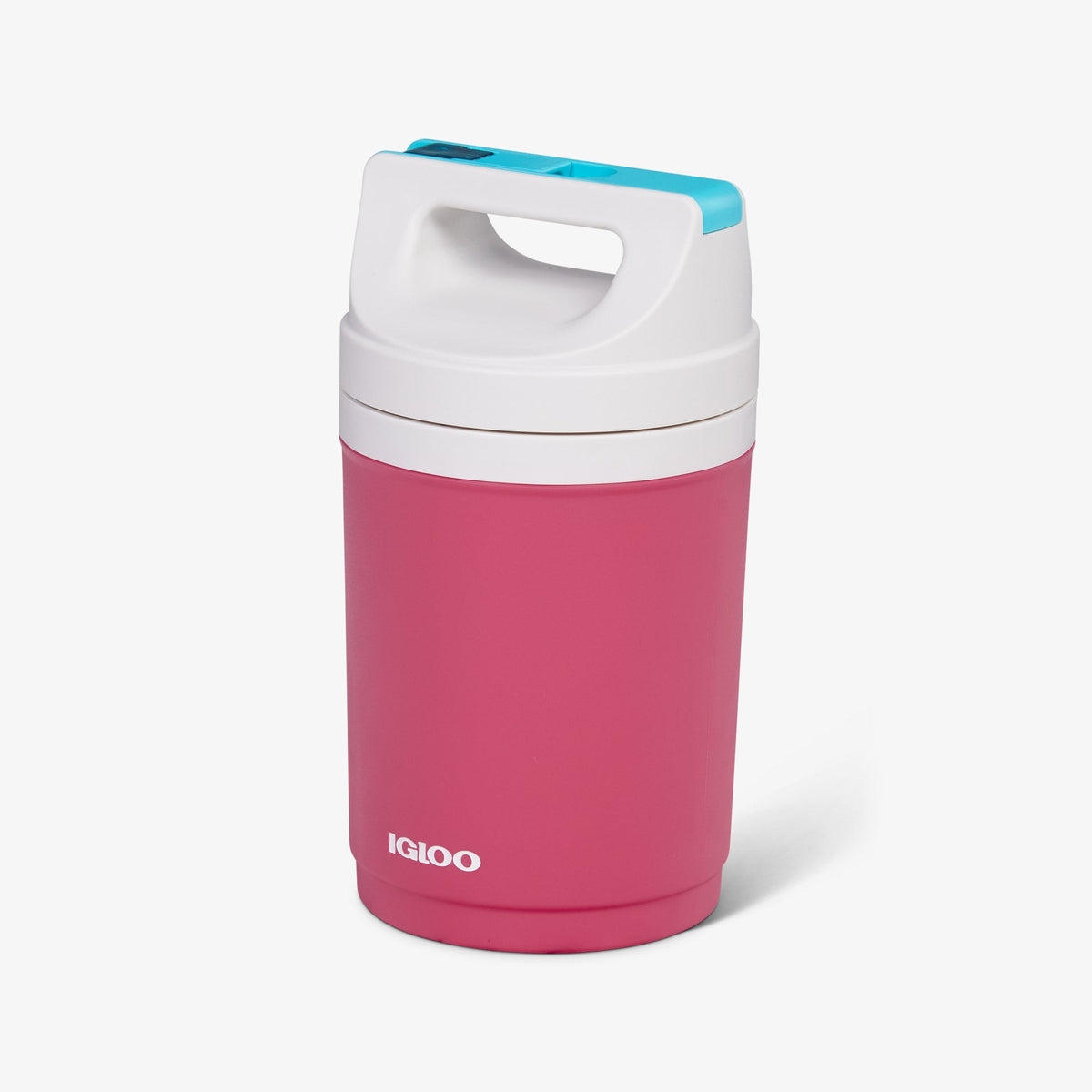 retro-playmate-half-gallon-jug-y0 00070862-H1.jpg